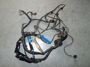 harness